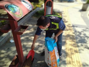 Salgında sokak hayvanlarına özel ilgi