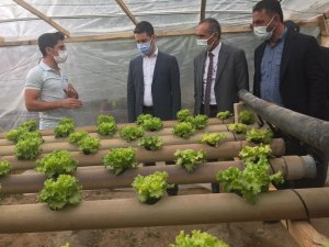 Altıntaş’ta ’’Topraksız sera’’