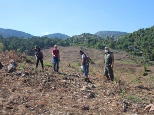 Eğirdir’de orman çalışmaları denetlendi