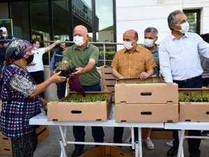 Ata tohumları toprakla buluşmaya devam ediyor