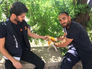 Ağaçta mahsur kalan kedi, kurtarıldı