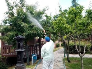 Bağcılar’da maymuncuk operasyonu