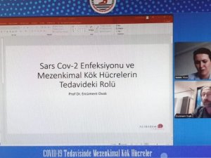 Kovid-19 tedavisinde mezenkimal kök hücre çare olabilir