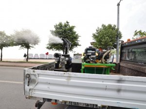 Başiskele’de vektörle mücadele başladı