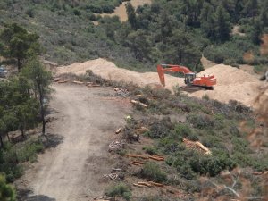 Taş ocağı nedeniyle ürünleri zarar gören kekik üreticilerinden tepki