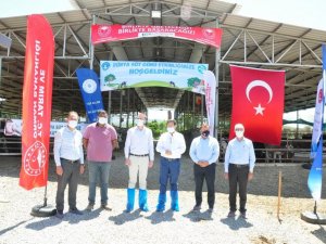 Milas’ta Dünya Süt Günü kutlandı