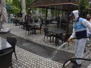 Çay bahçeleri yaza hazırlandı