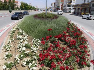 Karaman’da kavşak ve refüjler gül ve çiçeklerle donattı