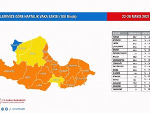 Samsun’un ’mavi’ye yolculuğu