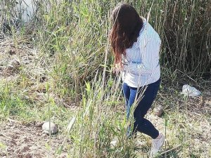 Minik kaplumbağa doğaya bırakıldı