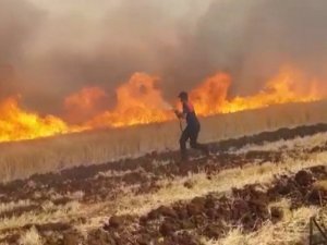 Ekili alan yangınları arttı, itfaiye müdürü uyardı