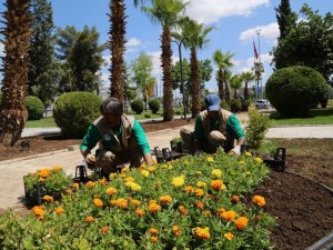 Haliliye’de parklar yaza hazır