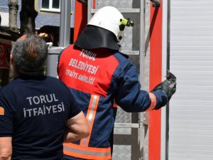 Torul İtfaiyesinden “yavru karga” operasyonu