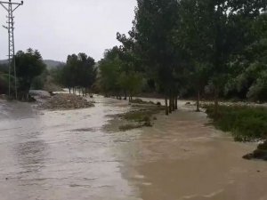 Sağanak yağış dereyi taşırdı