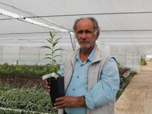 Emekli akademisyen modern sera kurdu, topraksız meyve fidanı üretiyor