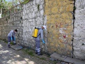 Küçükçekmece Belediyesi yaz aylarında sivrisineklere karşı etkin mücadele başlattı