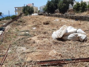 Mersin’de yası dışı orman arazisi işgaline izin verilmiyor