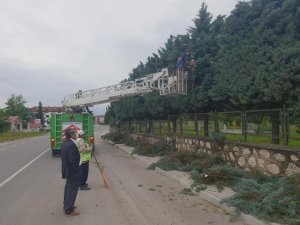Şehir mezarlığında bakım onarım çalışmaları başladı