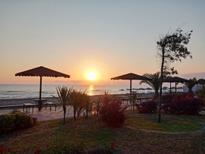 ‘Dünya Çevre Günü’ne anlamlı kutlama