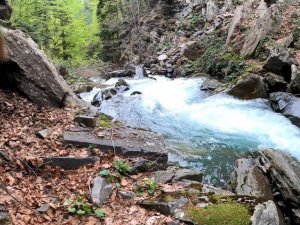 Tozluyan şelalesi büyülüyor