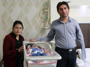 Afgan bebek, Tekden Hastanesi’nde sağlığına kavuştu