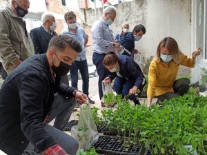 5 bin fide çiftçilere dağıtıldı