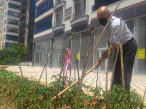 Kısıtlamayı fırsat bildi, apartman önünü hobi bahçesi yaptı