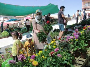 Pandemide fidan satışları tavan yaptı