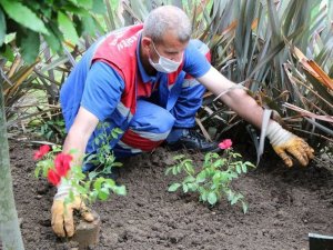 Kağıthane’de yüz binlerce çiçek toprakla buluştu