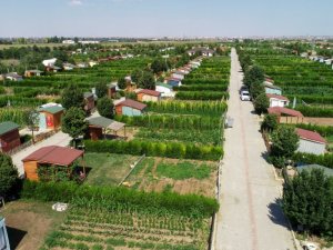 Salgın sürecinin stresini Meram Belediyesi Hobi Bahçelerinde atıyorlar