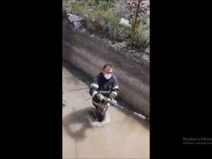 Irmakta boğulmak üzere olan yavru köpeği itfaiye kurtardı