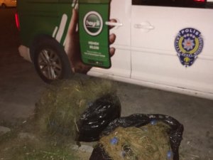 Kaçak avlanan balıklar nehre bırakıldı