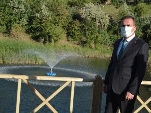 Golazüryan Hakkari’ye renk katıyor