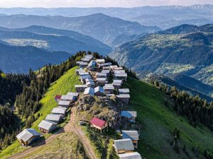 Pokut değil Boselta