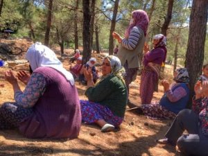 Menteşe’de köylüler yağmur duasına çıktı