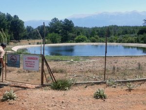 Orman yangınlarının cansuyu sezona hazır