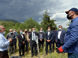 40 çiftçiye sertifika verildi