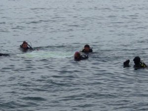 Giresun’da Dünya Çevre Günü’nde denizde çöp topladılar