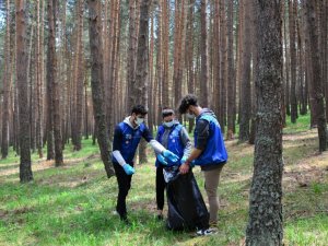 Ormanı didik didik temizlediler