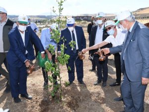 Üniversite öğrencileri EXPO alanında fidan dikti