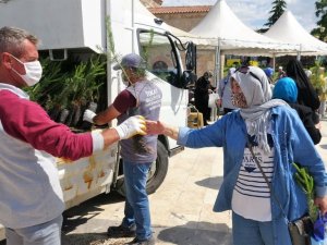 Tokat’ta 10 bin fidan dağıtıldı