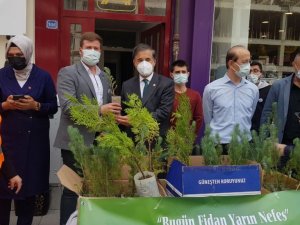 AK Parti, Dünya Çevre Günü’nde Karabük’te fidan dağıttı
