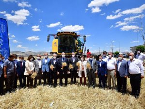 Büyükşehir, tohum hasadını gerçekleştirdi