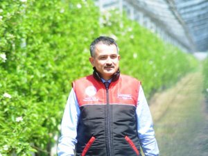 Bakan Pakdemirli’den Aydın’a müjde