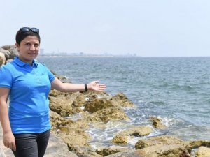 Akdeniz’de salya oluşumu beklenmiyor