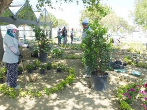 Burhaniye’de parklar çiçek kokacak