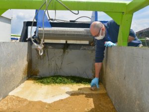 Müsilaj ekonomi için mercek altında