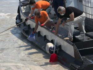 Vatandaşlar deniz salyasını küreklerle topladı