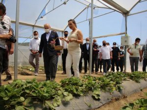Vali Köşger Efes Tarlası Yaşam Köyünde