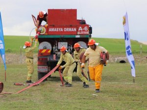 Ormanları koruyan ’ateş avcıları’ nefes nefese yarıştı